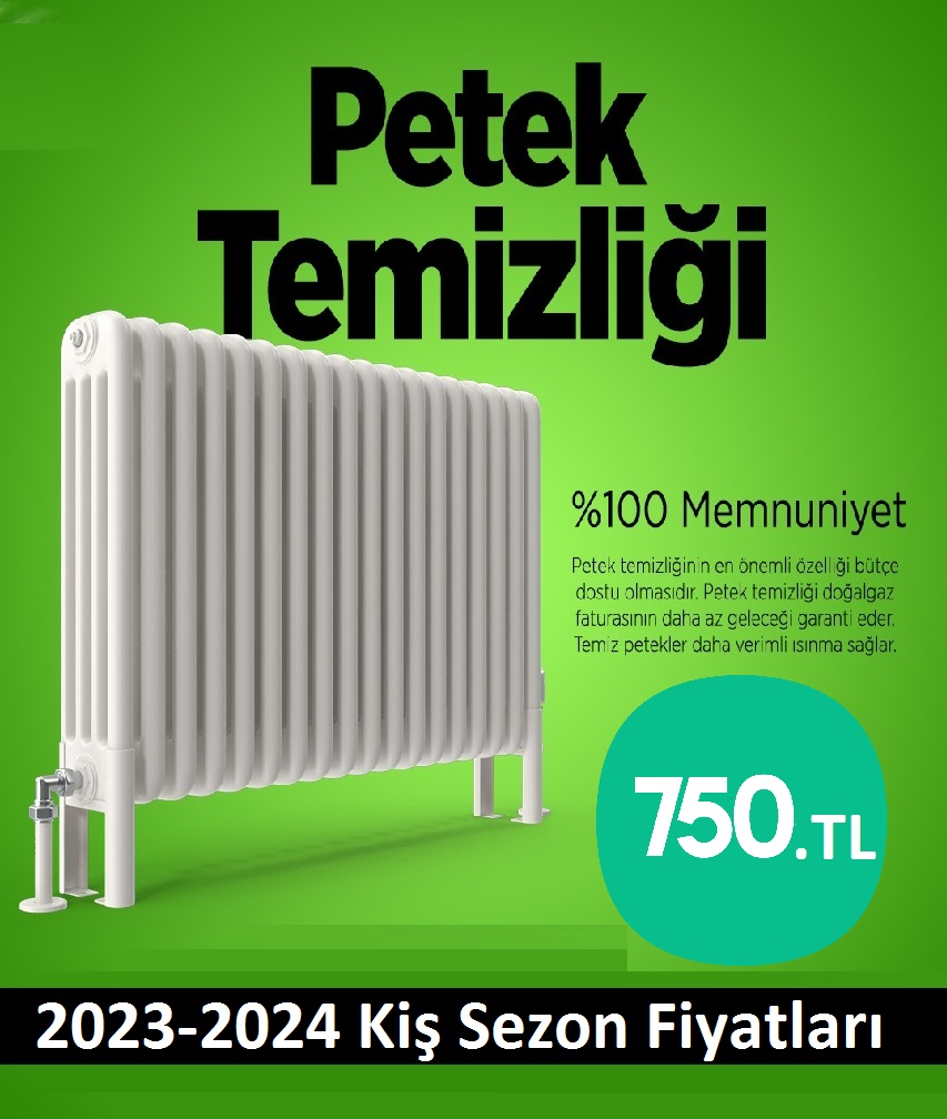 Gebze Petek Temizliği Tek Fiyat Teklifi Al
